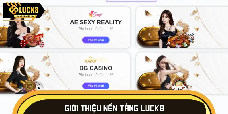 Những thông tin khái quát về nhà cái giải trí trực tuyến