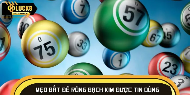 Mẹo bắt đề rồng bạch kim được nhiều cao thủ tin dùng