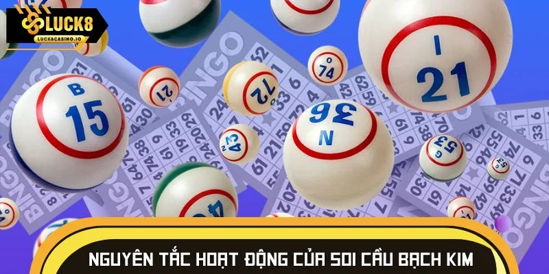 Nguyên tắc hoạt động của soi cầu bạch kim dễ hiểu